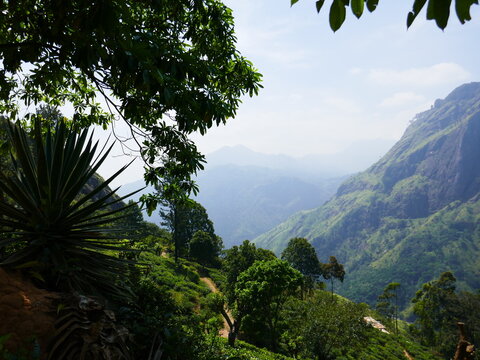 Paysages de Ella, Sri Lanka