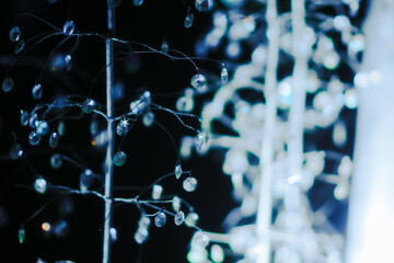 冬の箱根のイルミネーション