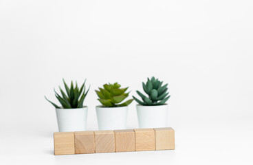wooden cubes with green plants on a white background close-up