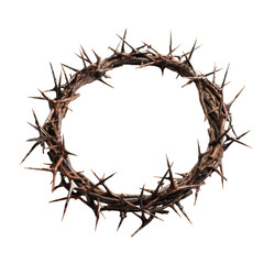 Crown of thorns on a cutout PNG transparent background - obrazy, fototapety, plakaty
