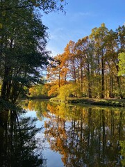 autumn trees reflected in water