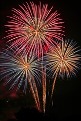 Beautiful fireworks show to celebrate Chinese lunar new year. Abstract over black background.