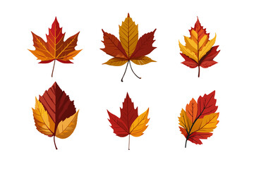 紅葉のイラスト(png)