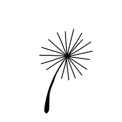 Obraz premium Dandelion Flower Vector Illustration 