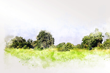 Abstract tree and field landscape on watercolor illustration painting background.	