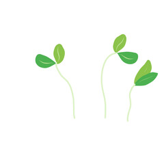 Microgreen plants Illustration 