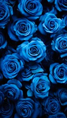 Background filled with blue roses