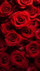 Background filled with red roses