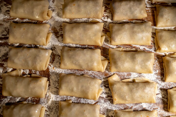 Homemade tasty stuffed pancakes crepes with meat close up. Thin pancakes with fillings. German fried stuffed pancakes blintzes with meat, heart, lung, liver. 