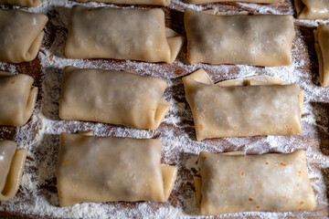Homemade tasty stuffed pancakes crepes with meat close up. Thin pancakes with fillings. German fried stuffed pancakes blintzes with meat, heart, lung, liver. 