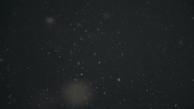 Snowflakes swirl in the festive night sky. Close-up shooting in slow motion