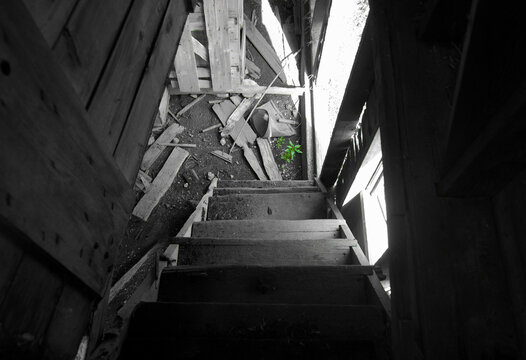 Stairway to Green