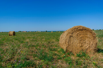 Bale of hay in field