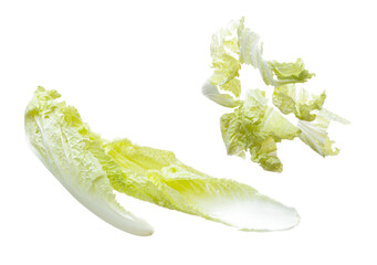 Chinese Cabbage fly in mid air, green fresh vegetable chinese cabbage falling leaf. Organic fresh...