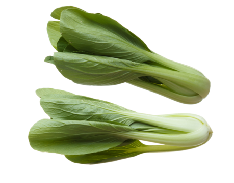 Kale fly in mid air, green fresh vegetable chinese kale falling. Organic fresh vegetable with eaten leaf of chinese kale, heap close up texture. White background isolated freeze motion