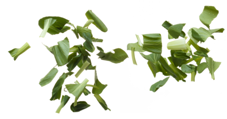 Chopped Kale fly in mid air, green fresh vegetable chinese kale falling. Organic fresh vegetable with eaten leaf of chinese kale, heap close up texture. White background isolated freeze motion