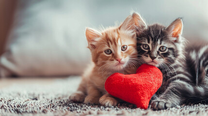 Two kittens cuddling next to a plush heart, cute animals, Valentine's Day, dynamic and dramatic compositions, blurred background, with copy space