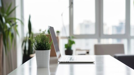 laptop stands on a table with plants in a bright modern office, minimalist style. open vacancy....
