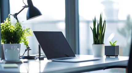 laptop stands on a table with plants in a bright modern office, minimalist style. open vacancy. concept of job search and freelancing - obrazy, fototapety, plakaty
