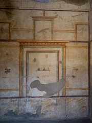 Wall frescos from the Casa dell'Efebo, Pompeii