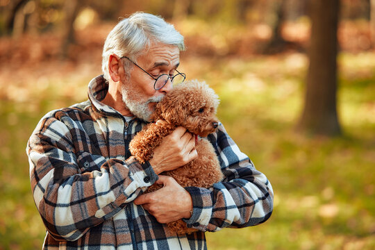 Senior couple walking in the park in autumn
