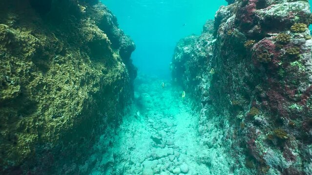 Underwater moving in a passage into a rocky reef, south Pacific ocean, natural scene, French Polynesia, 59.94fps