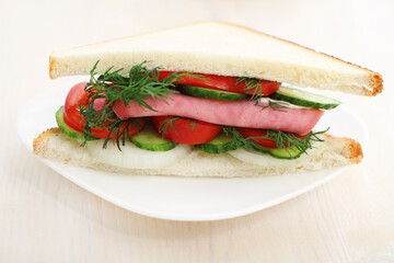 Tasty sandwich on a white plate.