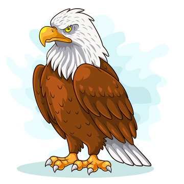 Cartoon Eagle bird on white background