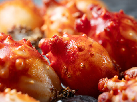 sea squirt ,seafood on a plate	