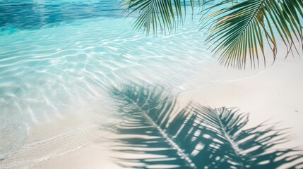 top view of water surface with tropical leaf shadow. Shadow of palm leaves on white sand beach....