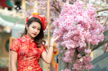 Portrait of beautiful asian woman in Cheongsam dress with Red Rose in hand,Thailand people,Happy Chinese new year concept