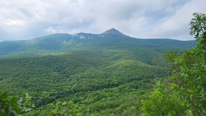 Obraz premium Panoramic forest landscape with mountains on a cloudy day.