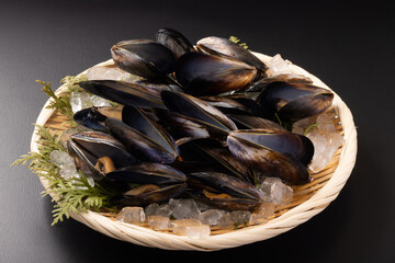 宮城県産　ムール貝