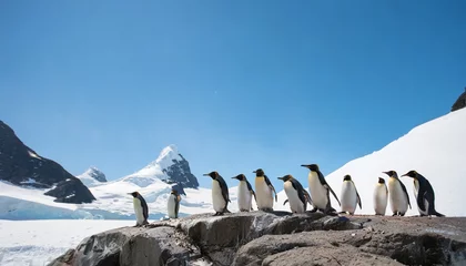 Foto op Plexiglas the group shot of a mature antarctic penguin colony standing on ice rock near glaciers under clear blue sky  © Wayne
