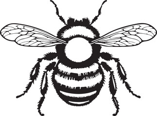 vector bee black and white