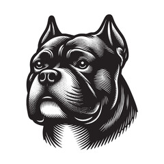 American Bully. Dog. Beautiful retro engraving illustration. Black icon, logo, label. isolated element.