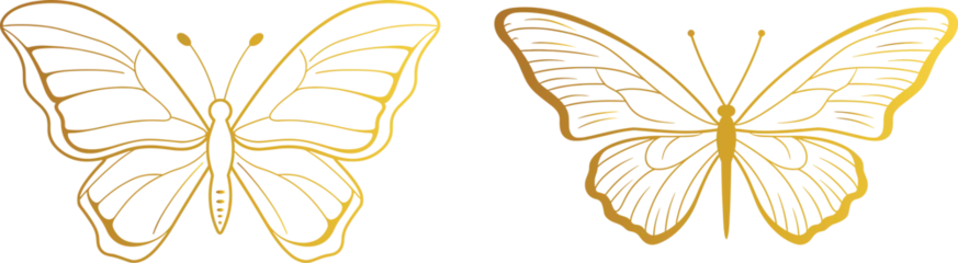 Foto op Plexiglas Butterfly Line Art Vector Illustration, Insect golden Outline on transparent background © LOVE VECTOR