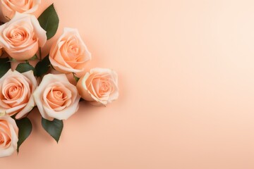 pastel peach color background with roses and copy space right. Beauty salon, invitation, flyer template and mockup.