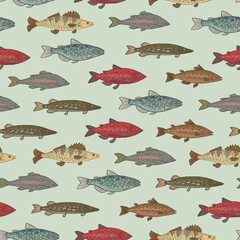 River freshwater fish vector seamless pattern.