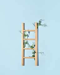 A creeper plant twists around a wooden ladder, a minimalistic composition on a pastel blue background.