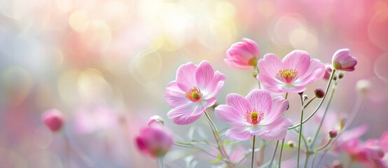 Fototapeta na wymiar A ballet of Japanese anemones swaying, their delicate petals bathed in a soft, ethereal light, whispering of spring's touch