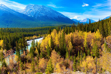 The artificial Abraham lake