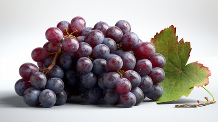 Fototapeta premium Grape, Grapes