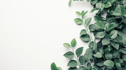 Garden Zen: Tranquil Green Leaves for Wellness