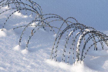 Sharp barbed wire in a snowdrift