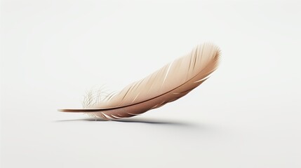 Airy Embrace: The Lightness of Feathered Texture