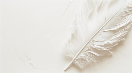 Ethereal Float: Delicate Brown Feather on White