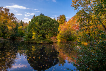 Fototapeta na wymiar The river near the trees in autumn.