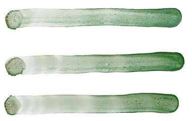 green paint pen traces, felt-tip pen underlining, png asset, pen line.