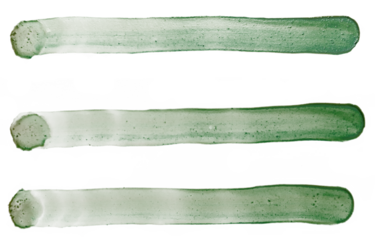 green paint pen traces, felt-tip pen underlining, png asset, pen line.